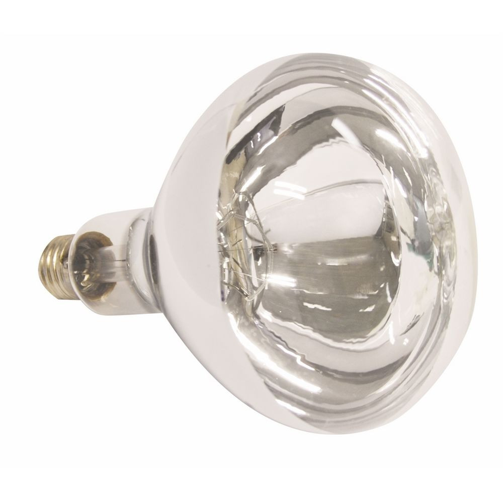 Heating Light Bulbs For Bathroom
 HPM Infra Red HEAT LAMP BULB Replacement Bathroom Heater