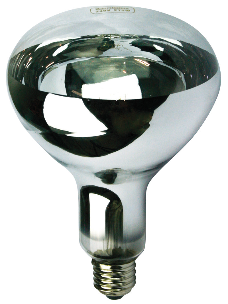 Heating Light Bulbs For Bathroom
 Bathroom heat lamp bulb – Lighting and Ceiling Fans