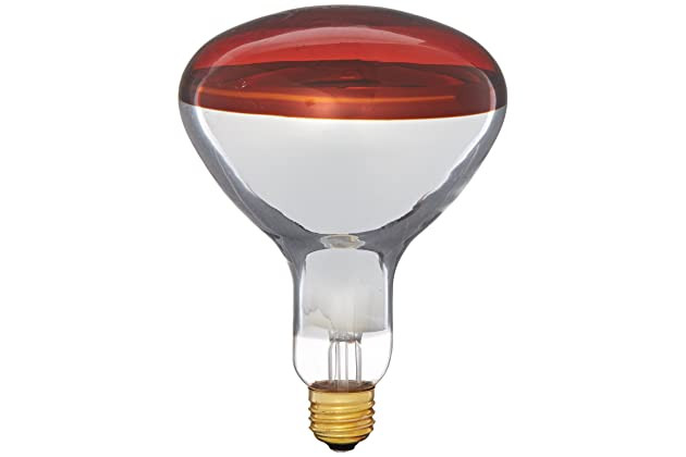 Heating Light Bulbs For Bathroom
 Best heat lamp for bathroom
