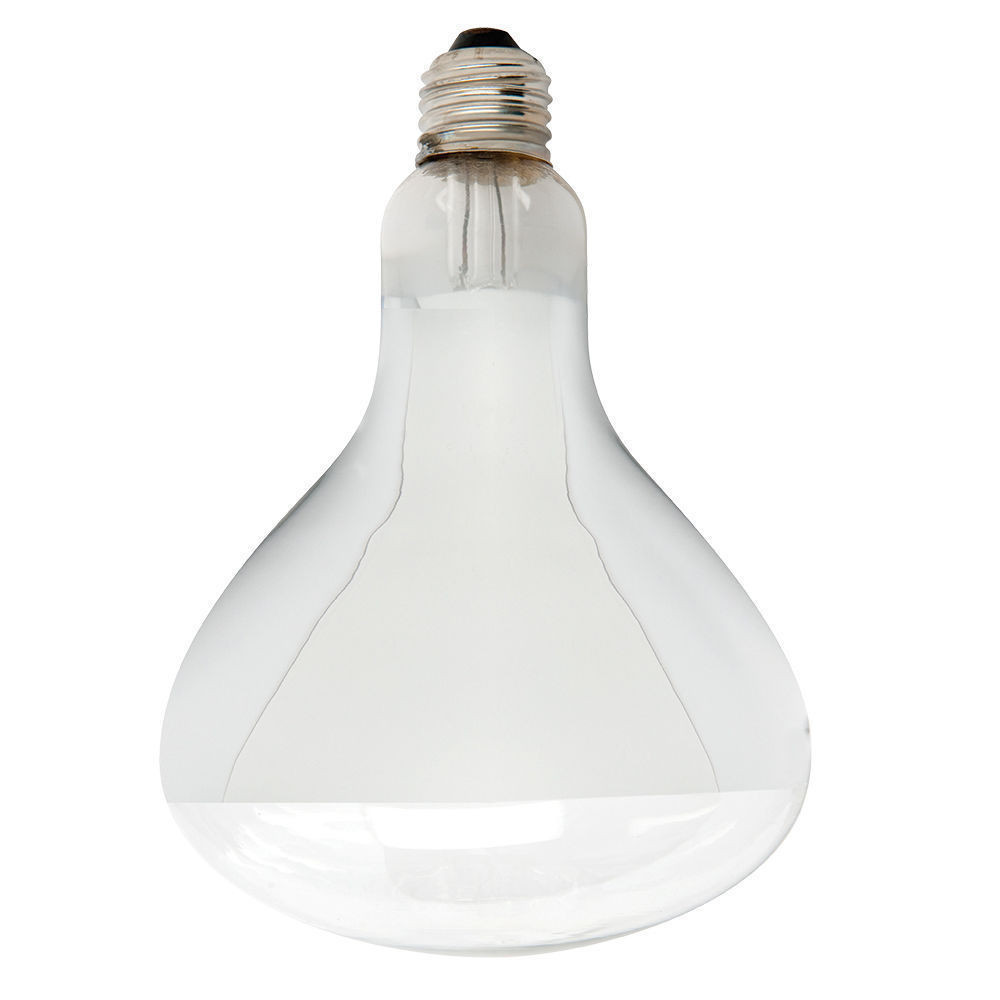 Heating Light Bulbs For Bathroom
 Heller 275 Watt Heat Light Bulb Globe For Ceiling Exhaust