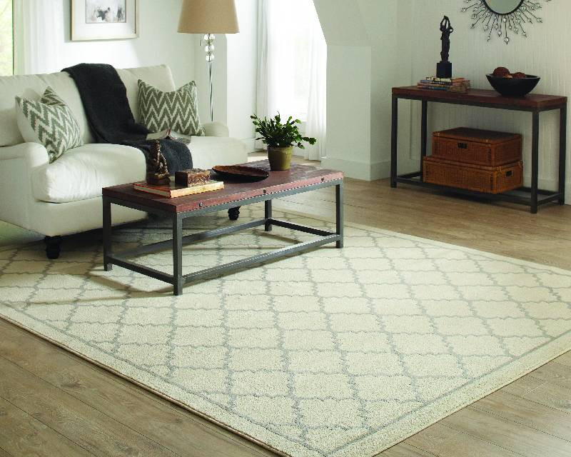 Home Depot Living Room Rugs
 Pet Proofing Area Rugs