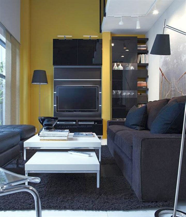 Ikea Small Living Room
 18 Small Living Room Ideas for Urban Living