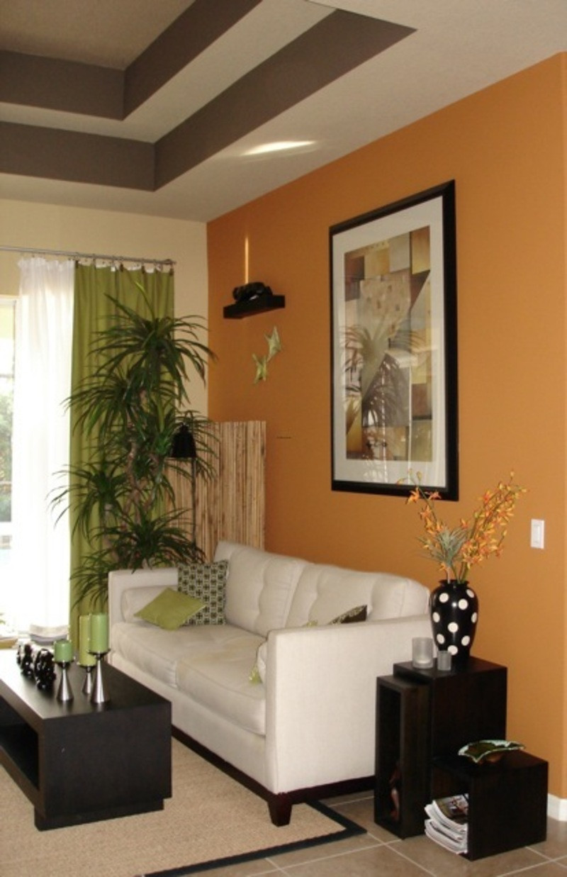 Interior Paint Ideas Living Room
 Choosing Living Room Paint Colors Decorating Ideas For