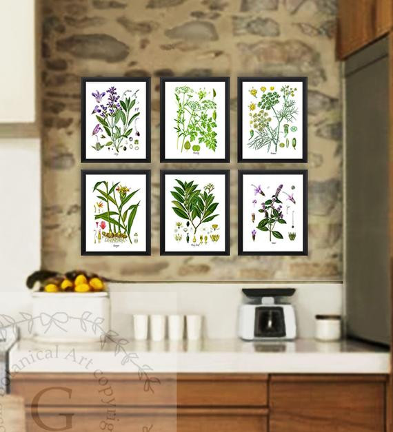 Kitchen Framed Wall Art
 Kitchen Herb Botanical Prints Set of 6 Kitchen Herbs Wall Art