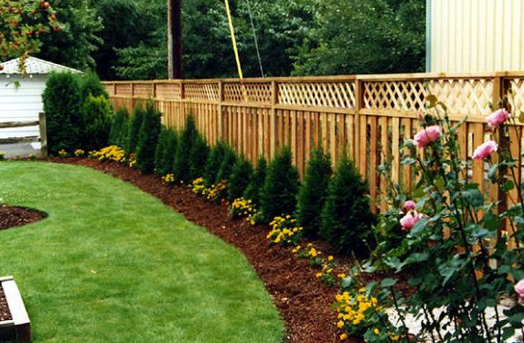 Landscape Along Fence Line
 Ideas And Tips To Help You Landscape Along Your Fence Line