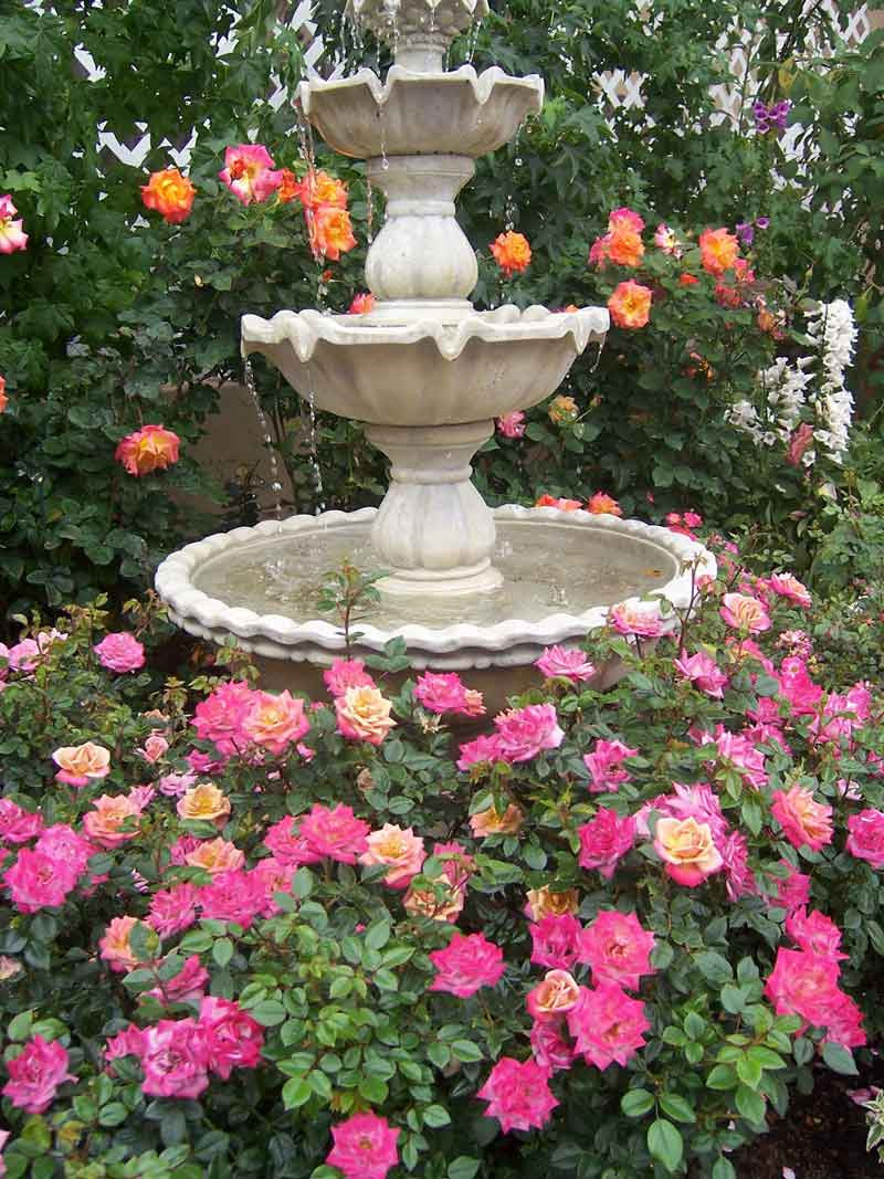 Landscape Around Fountain
 FEATURES & FOUNTAINS Give life to your backyard with