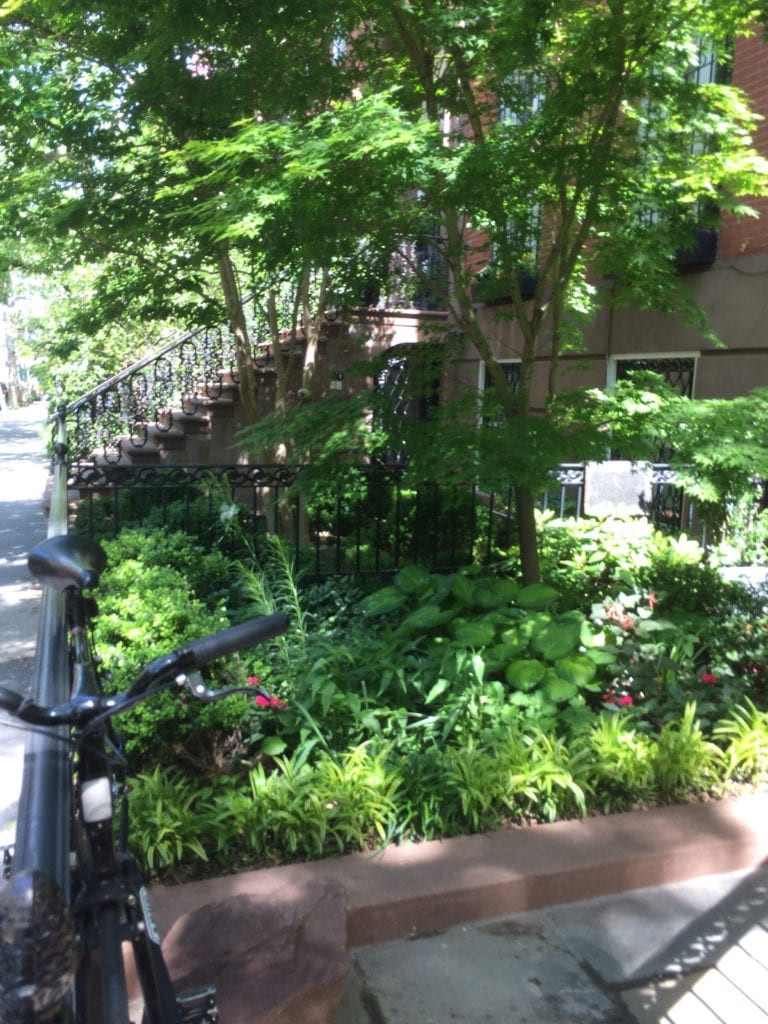 Landscape Design For Small Spaces
 We’re in a Tight Spot — Landscape Design for Small Urban