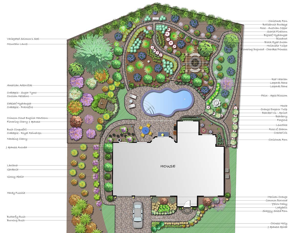 Landscape Design Plan
 Professional Landscape Software