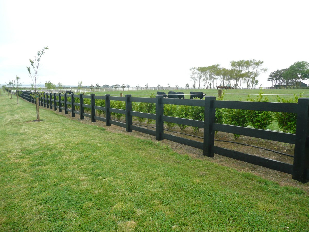 Landscape Timber Fence
 Beams and Timber Direct Auckland sawmillers and fencing
