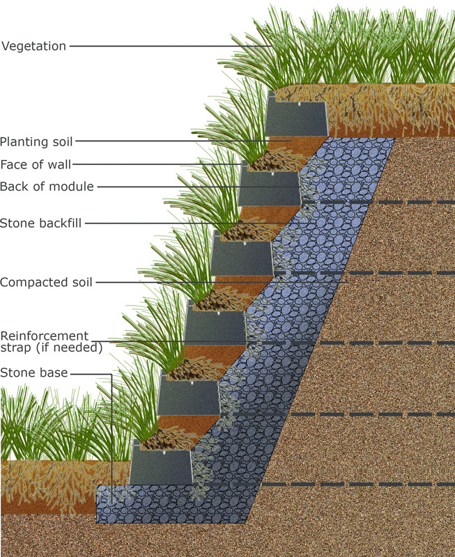 Living Retaining Wall
 Ve ated Living Retaining Wall