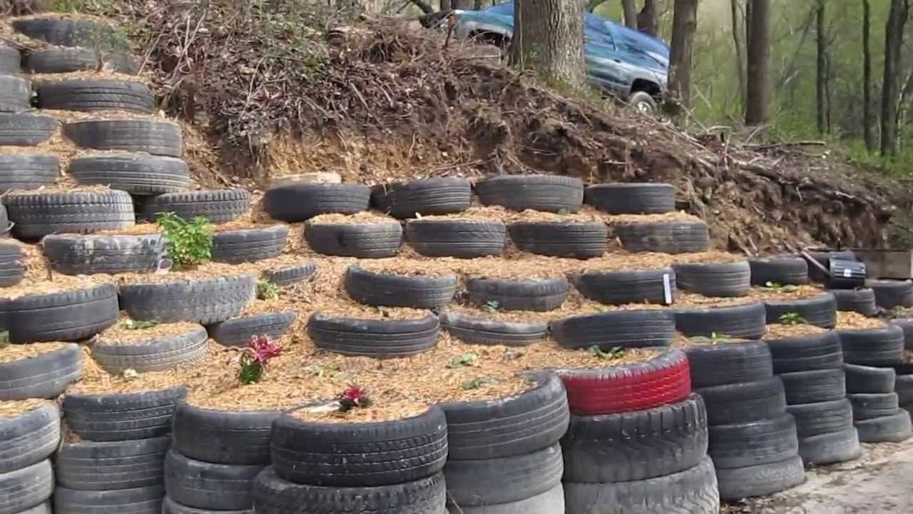 Living Retaining Wall
 Living tire retaining wall ideal for apple trees and