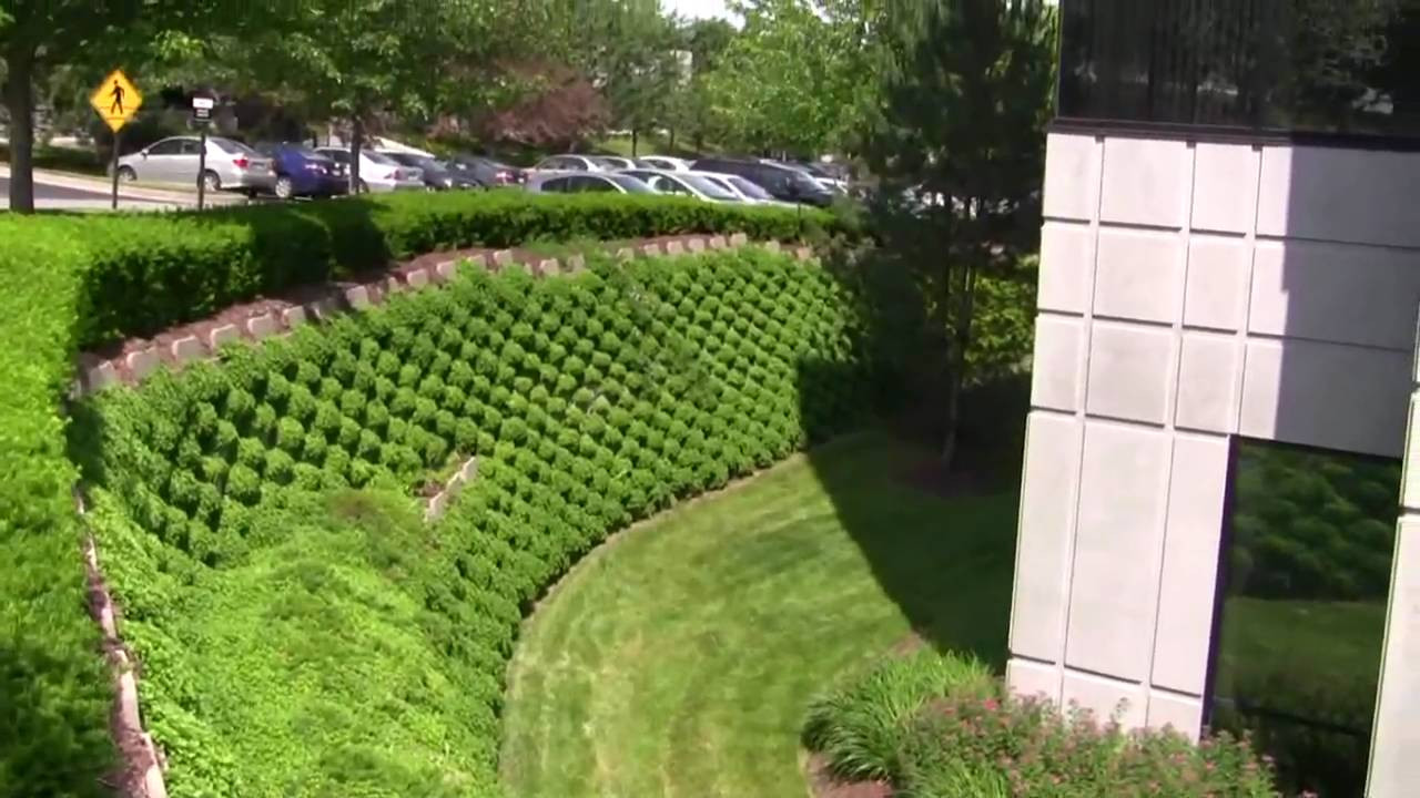 Living Retaining Wall
 Living Retaining Wall Tour with Pizzo Associates in May