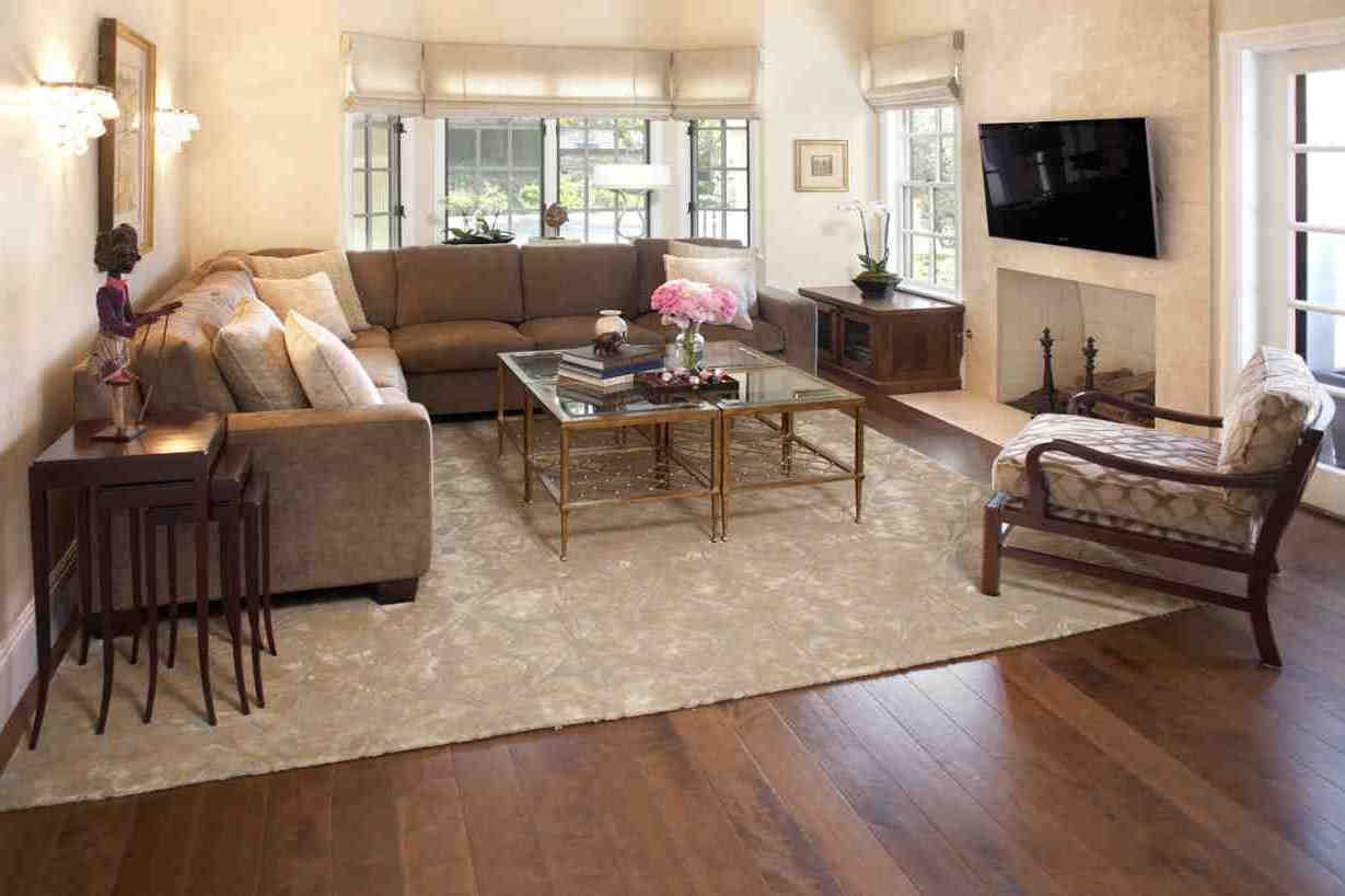 Living Room Area Rugs
 Rugs for Cozy Living Room Area Rugs Ideas