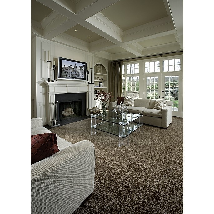 Living Room Carpet Colors
 8 best Brown Carpet images on Pinterest