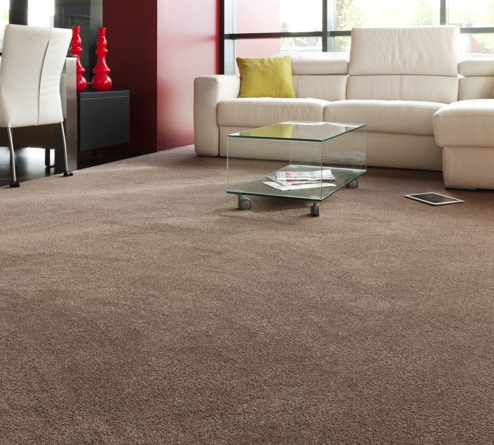 Living Room Carpet Colors
 Will Dark Carpet Suit For the Living Room Household