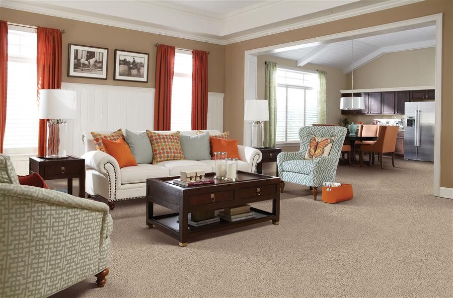 Living Room Carpet Colors
 2018 Carpet Trends 21 Eye Catching Carpet Ideas