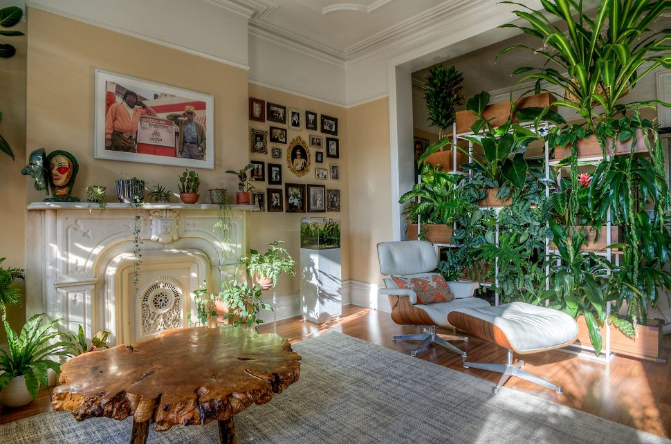 Living Room Plant Ideas
 10 Excellent Ideas To Display Living Room Indoor Plants