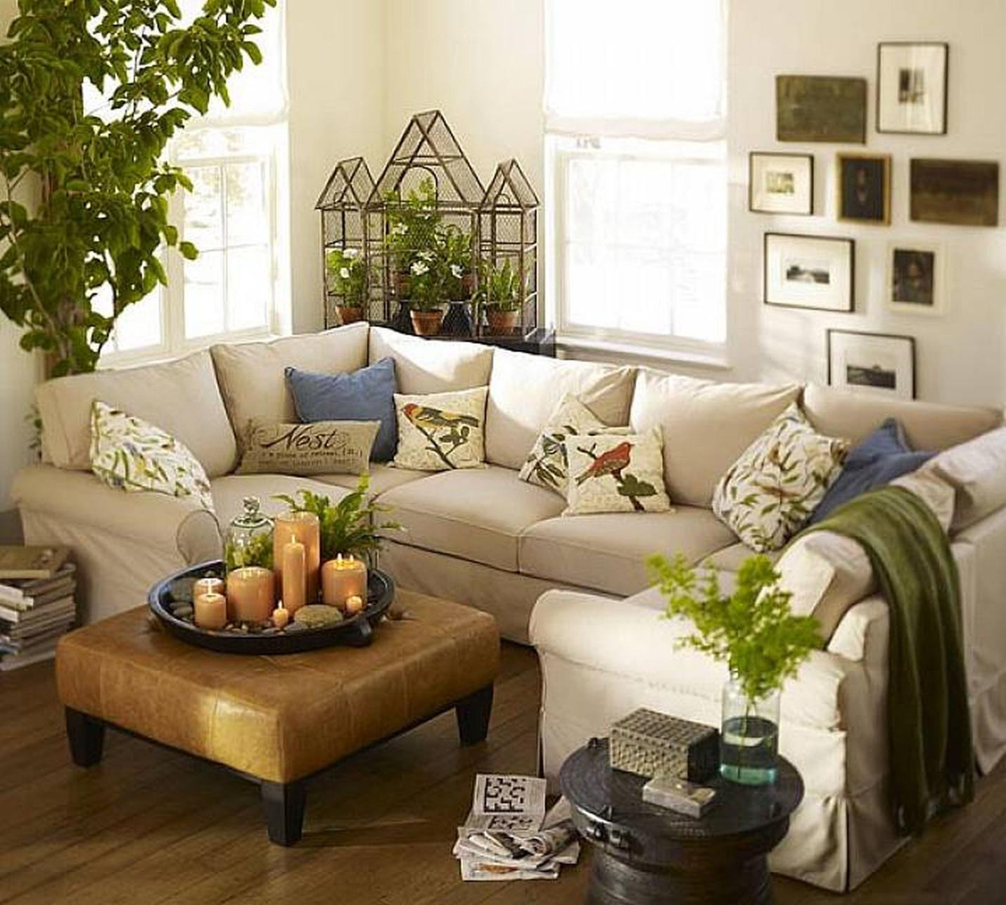 Living Room Plants Decor
 Decorating our homes with plants Interior Design Explained