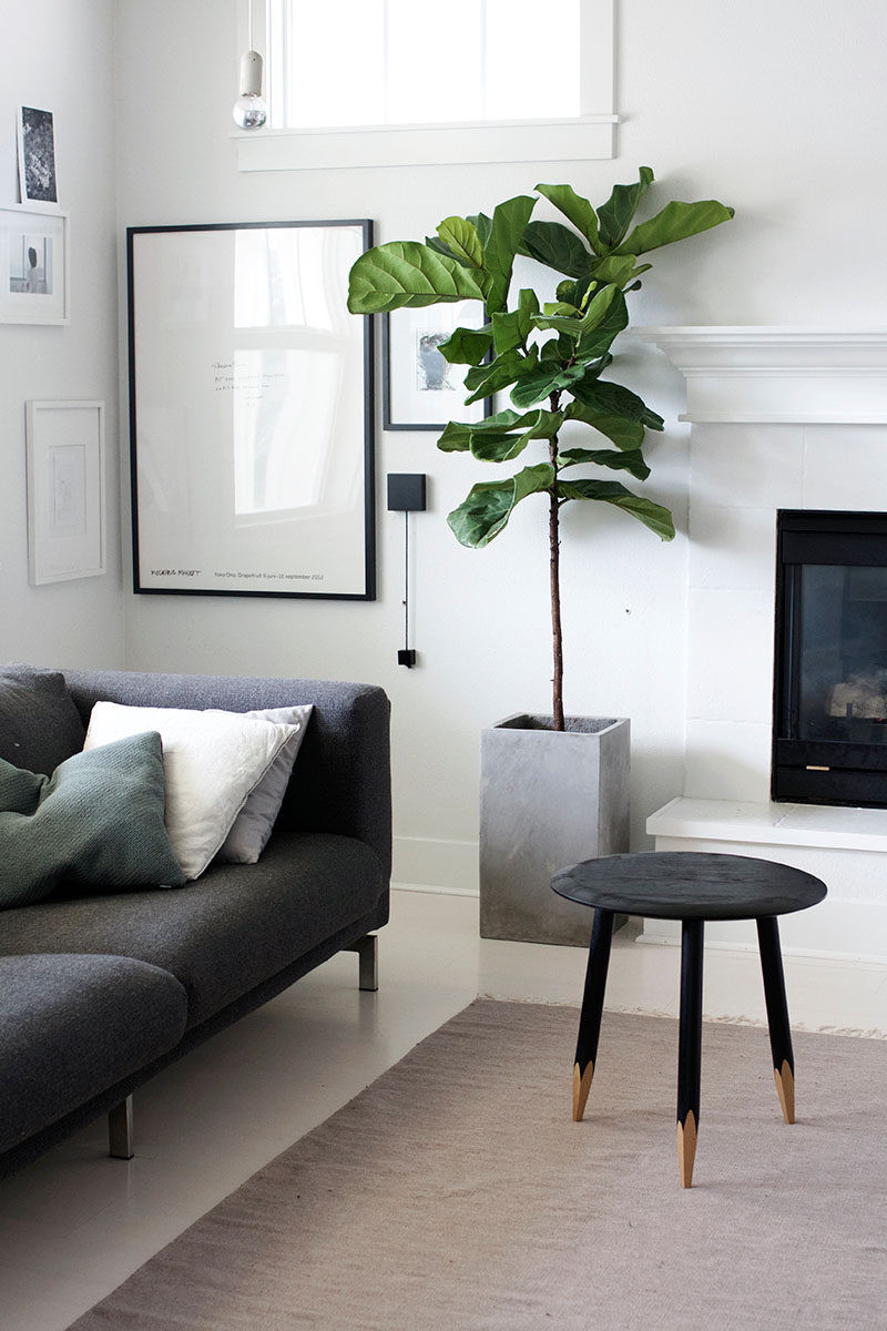 Living Room Plants Decor
 7 Living Room Ideas For Designing A Bud