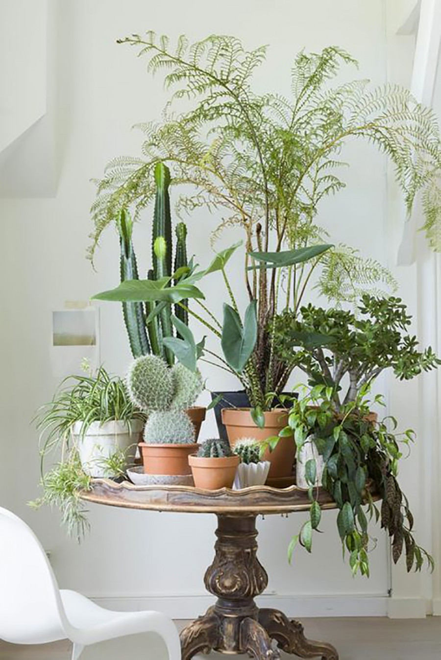 Living Room Plants Decor
 10 HAPPY LIVING ROOM IDEAS WITH PLANTS