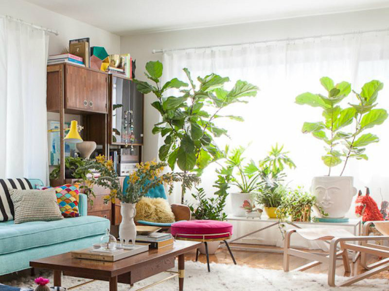 Living Room Plants Decor
 10 Cheerful living room ideas with plants Covet Edition