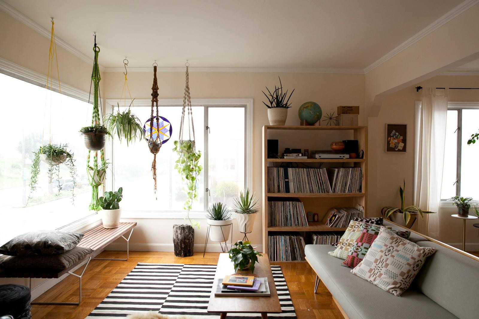 Living Room Plants Decor
 Decorating our homes with plants Interior Design Explained