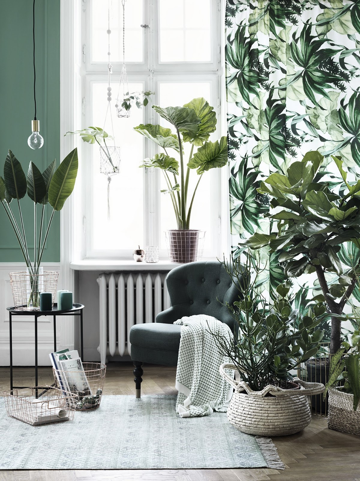 Living Room Plants Decor
 Revitalize Your Home with Lush Indoor Plants in Every Room