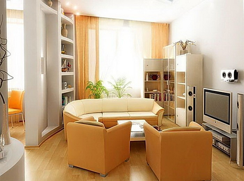 Living Room Small
 Small Living Room Ideas