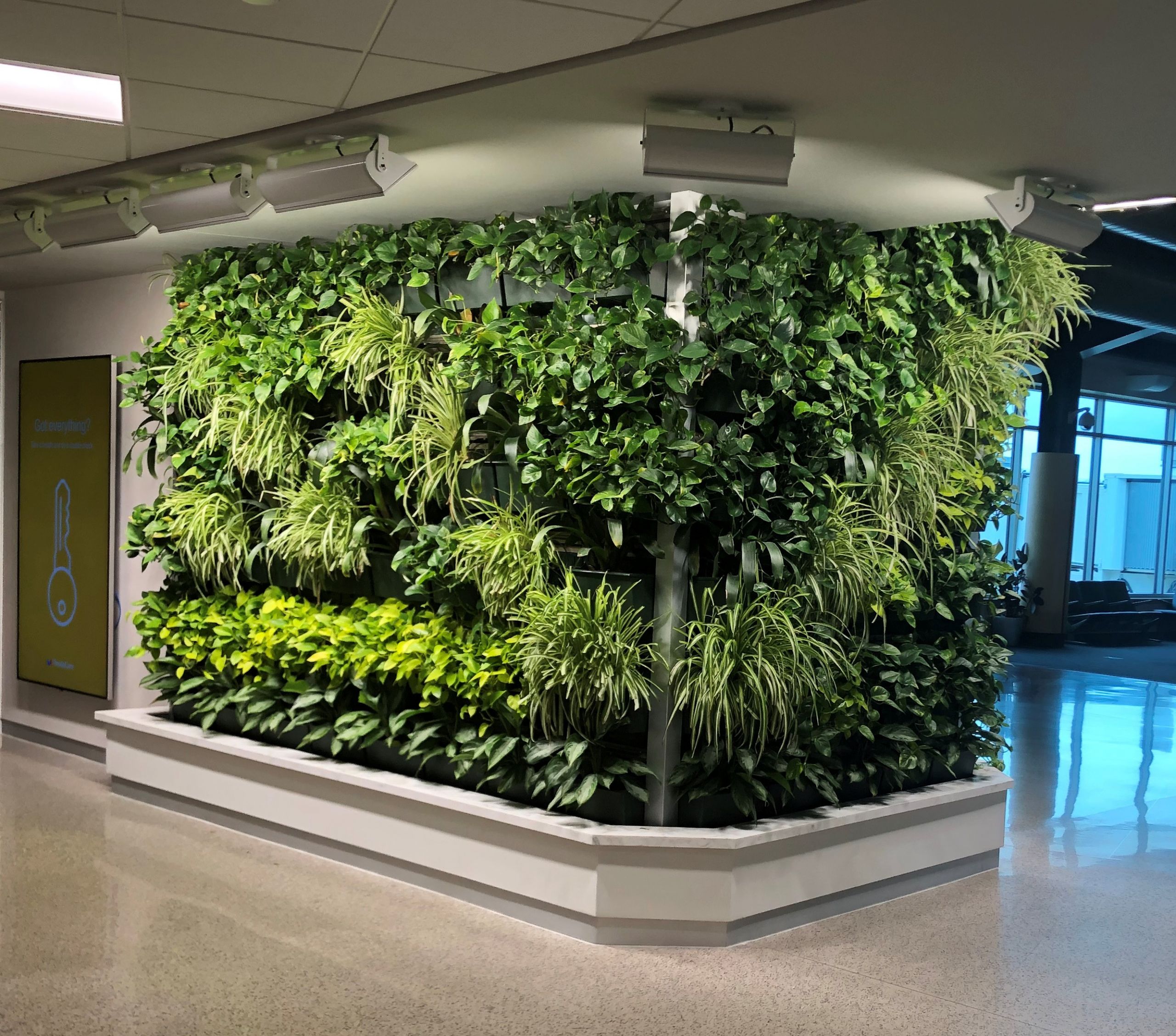Living Wall Indoor
 LiveWall Living Wall Brings Natural Beauty and Calm to the
