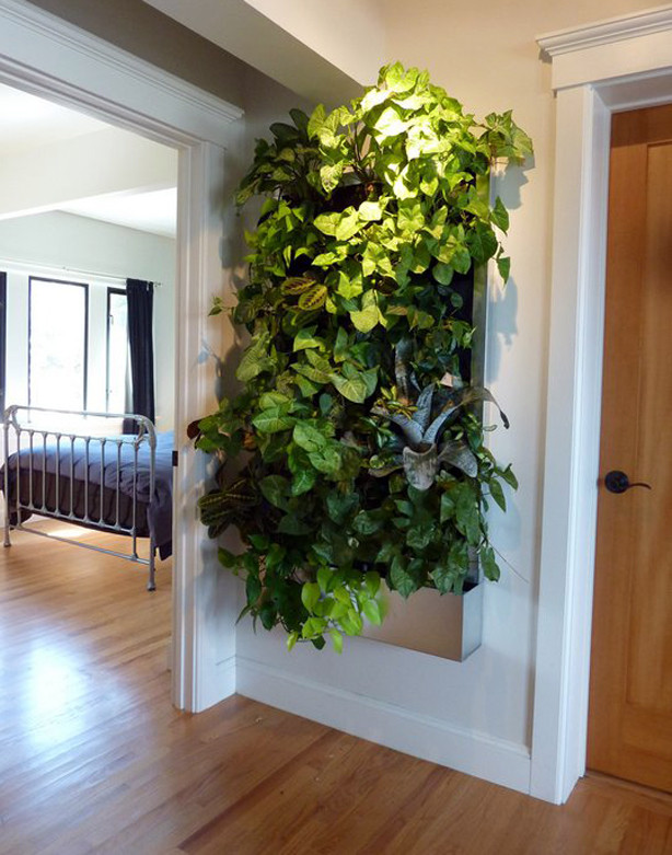 Living Wall Indoor
 Living Walls for Small Spaces – Urban Gardens Guest Post