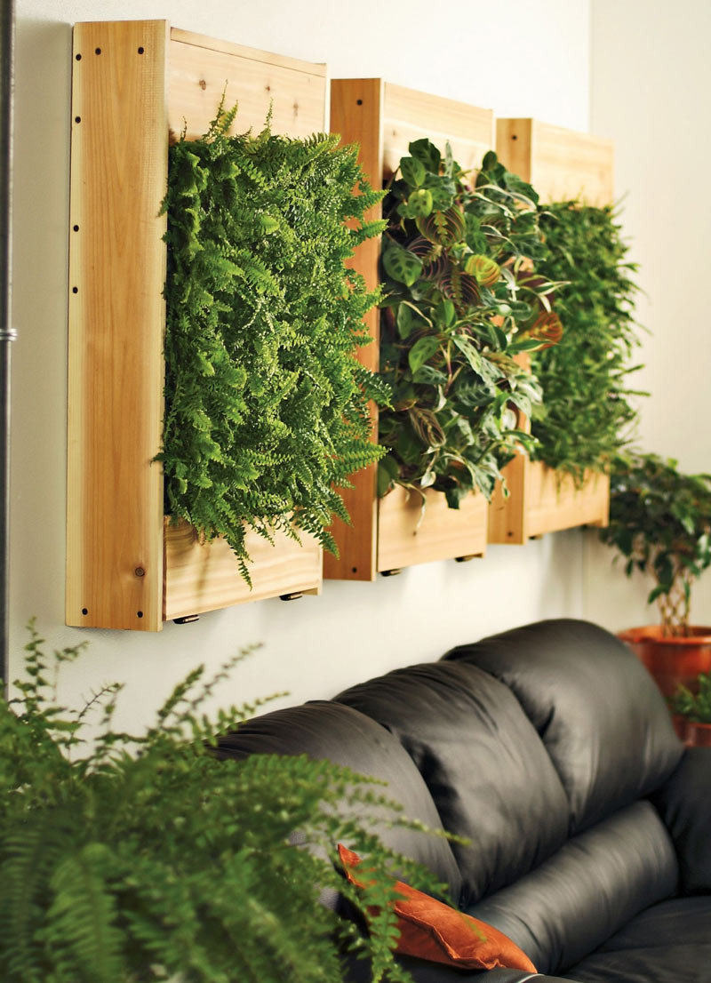 Living Wall Indoor
 Indoor Living Wall Planters The Green Head