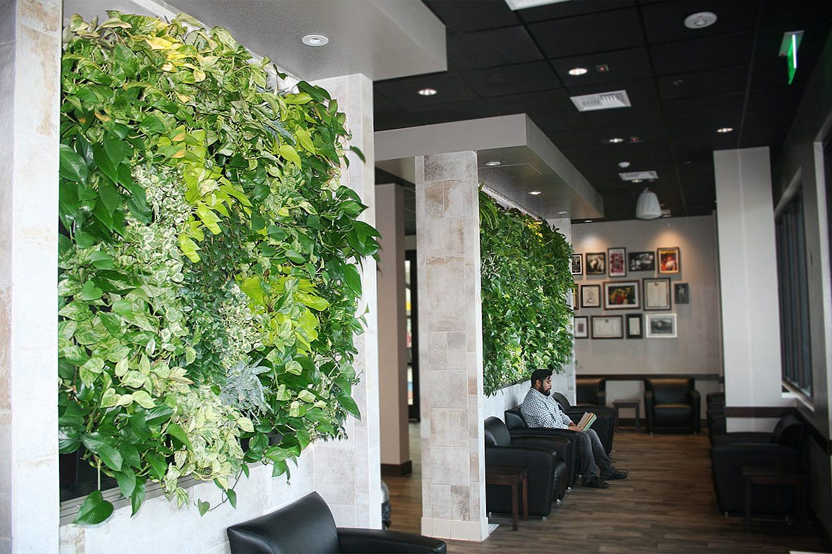 Living Wall Indoor Elegant Vertical Goodness 10 Diy Living Walls Kits for Green Living