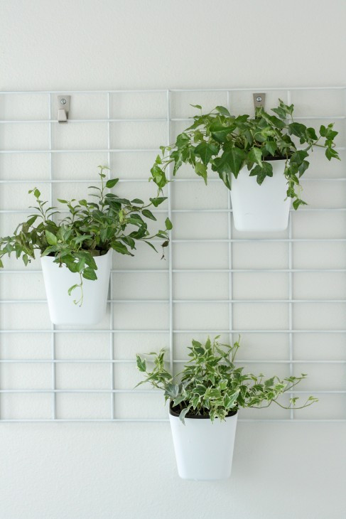 Living Wall Indoor
 23 Cool DIY Wall Planter Ideas For Vertical Gardens – The
