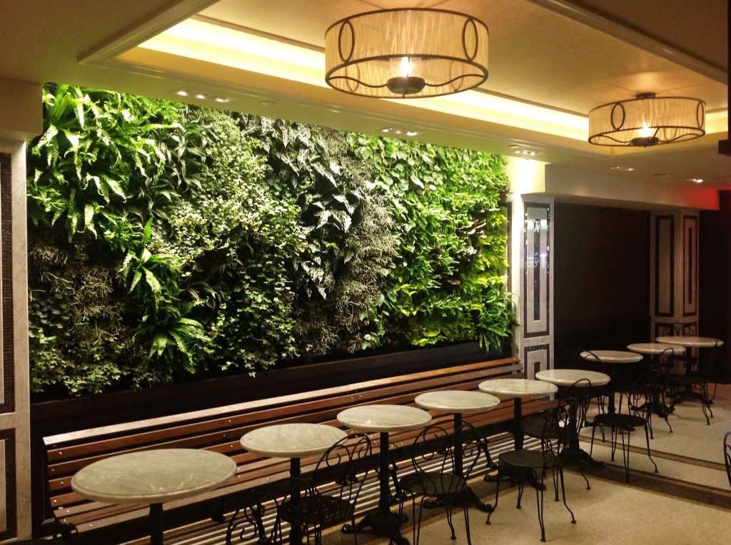 Living Wall Indoor
 Indoor living wall systems start to finish