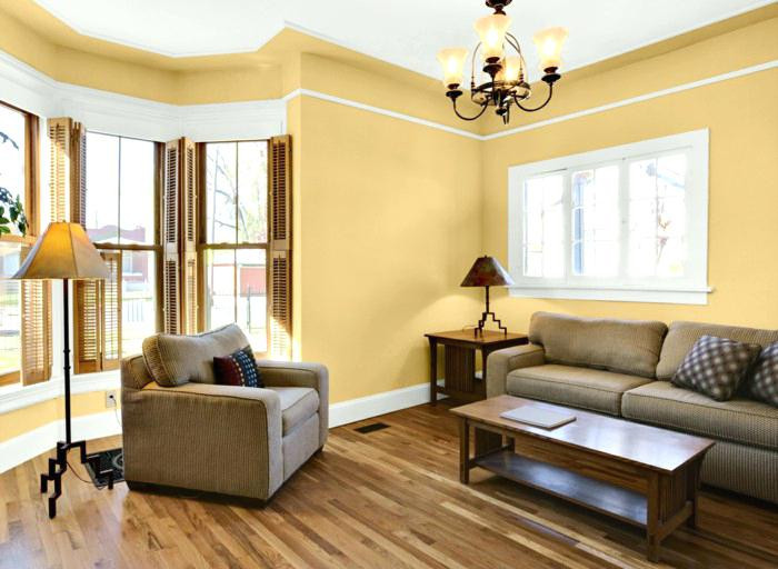Livingroom Paint Colors
 30 Best Living Room Paint Colors Ideas