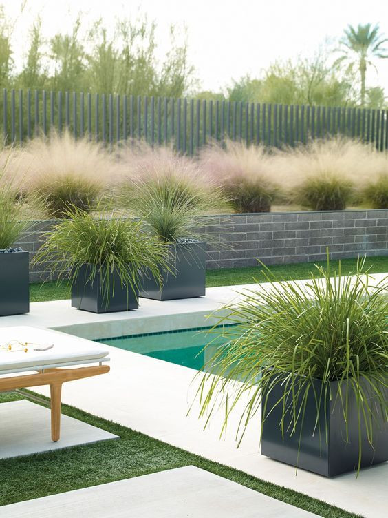 Modern Outdoor Landscape
 Landscaping with ornamental grass