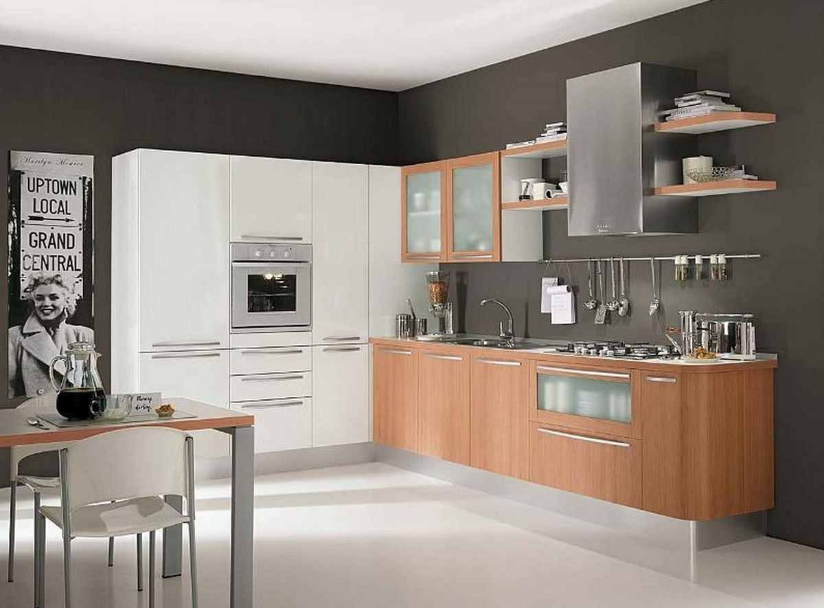 Modern Style Kitchen Cabinets
 kitchen cabinets