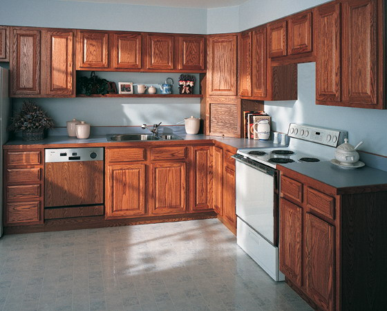 Most Popular Kitchen Cabinets
 Cabinets for Kitchen Most Popular Wood Kitchen Cabinets