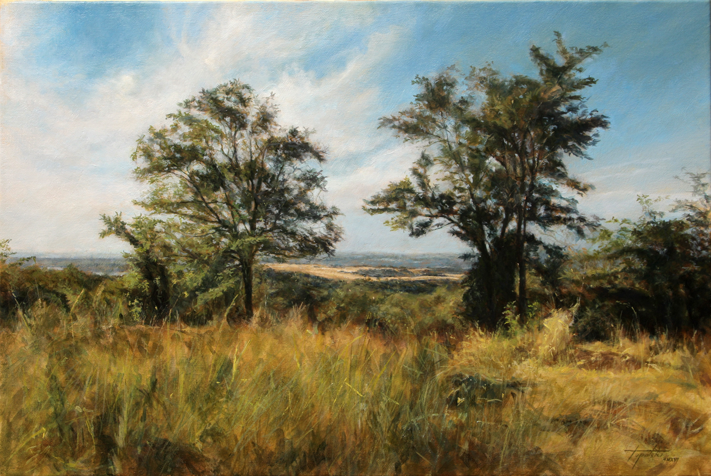 Oil Paintings Landscape
 In the Country – Landscape oil painting