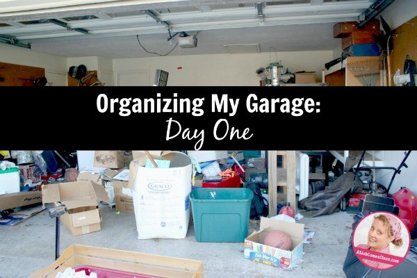 Organize My Garage
 Organizing My Garage Storage Space Day e