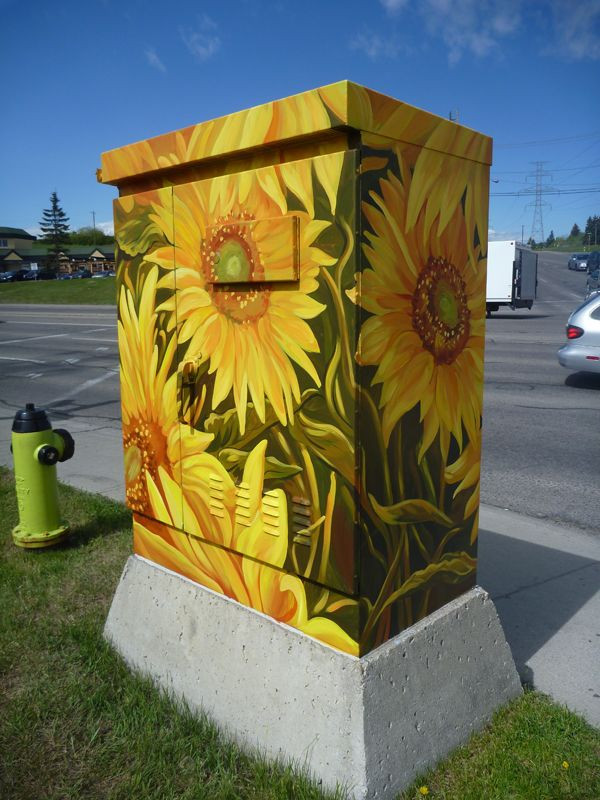 Outdoor Electrical Box Covers Landscaping
 Best 25 Electric box ideas on Pinterest