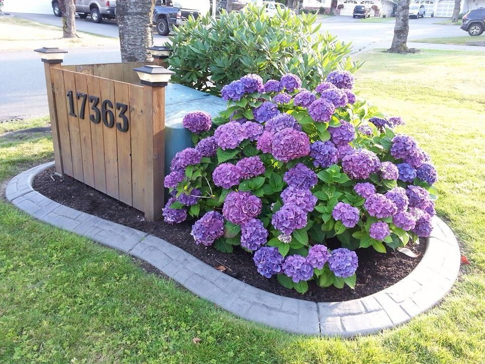 Outdoor Electrical Box Covers Landscaping
 To cover our BC Hydro box on our front lawn