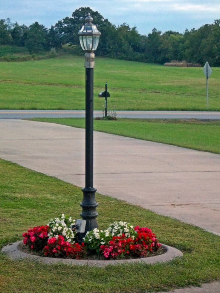 Outdoor Landscape Backyard
 The Lamp Post photo by Joy Fussell
