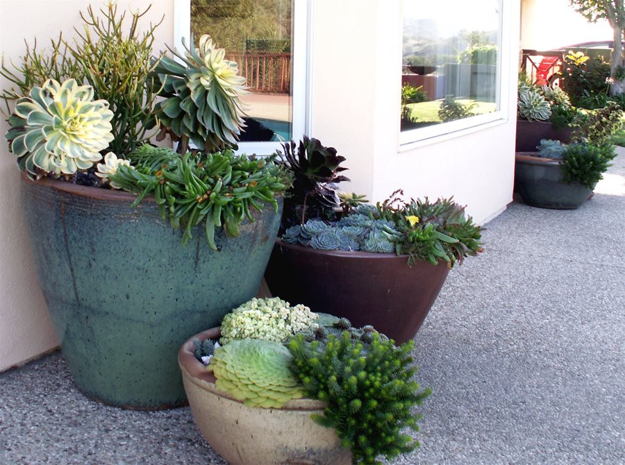 Outdoor Landscape Pots
 Container Garden Tips Landscaping Network