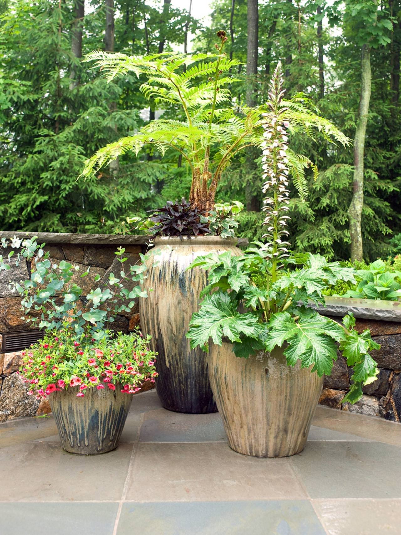 Outdoor Landscape Shrubs
 11 Most Essential Container Garden Design Tips
