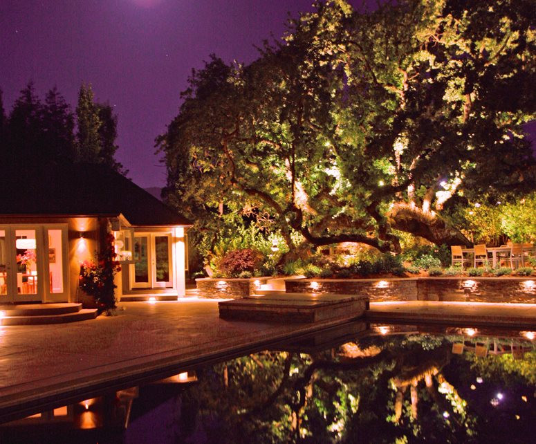 Outdoor Landscape Trees
 Lighting Mountain View CA Gallery Landscaping