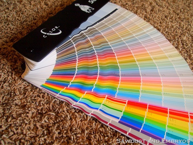 Paint Color Fan Deck
 My Very Own Color Fan Deck Reality Daydream