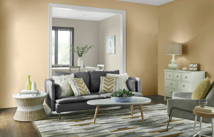Paint Colors For Living Room
 Living Room Paint Colors The Home Depot