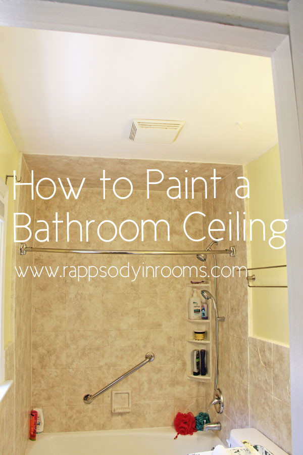 Paint For Bathroom Ceiling
 Painting a Bathroom Ceiling w Empowerment