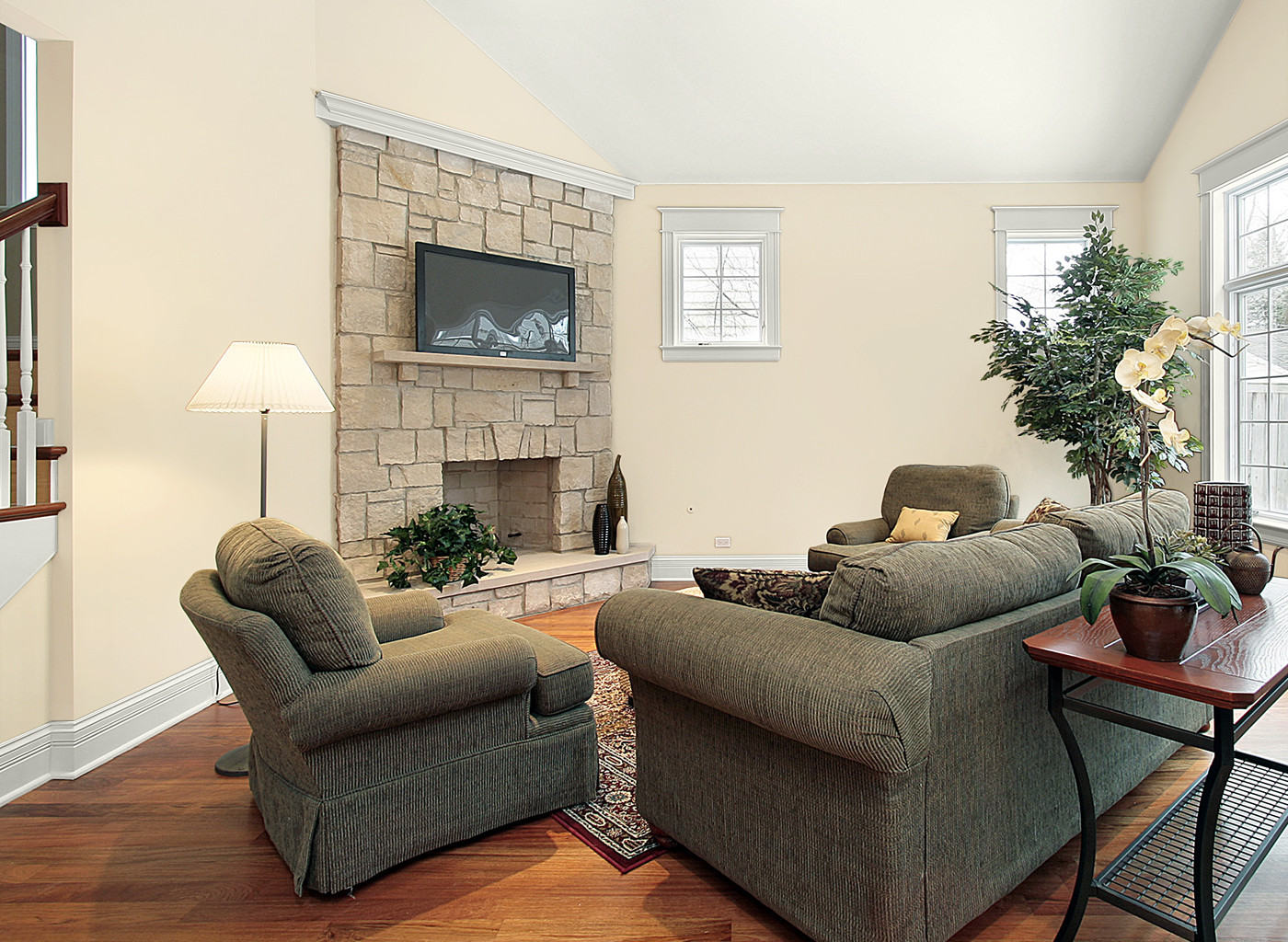 Painting Living Room
 How to Choose a Paint For Your House
